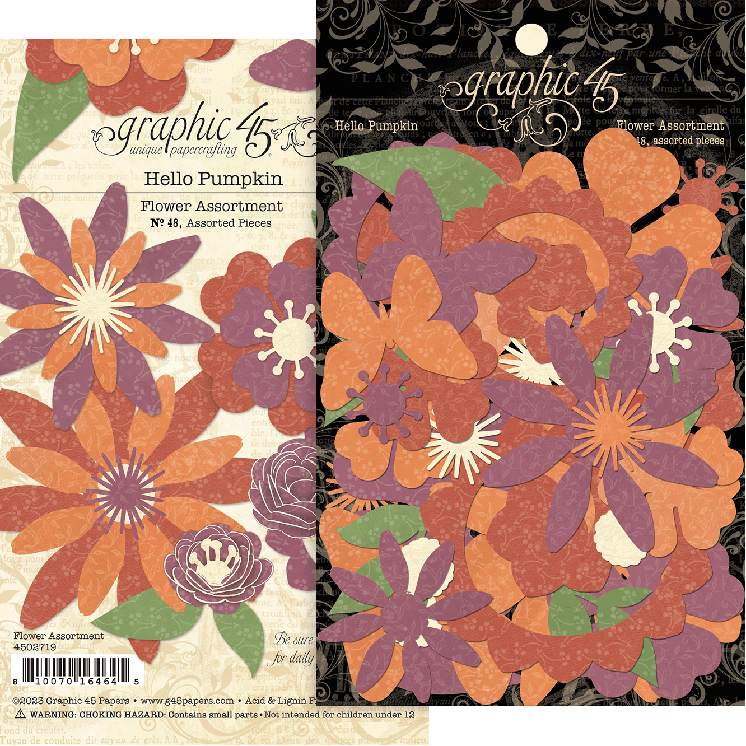 Grafisch 45 Hallo pompoenbloemenassortiment